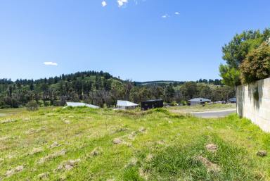 Residential Block Sold - WA - Nannup - 6275 - Conveniently located 1001sqm block  (Image 2)