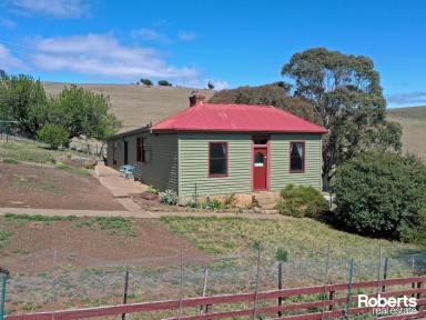 House For Sale - TAS - Hamilton - 7140 - Peaceful Property on 23 Acres  (Image 2)
