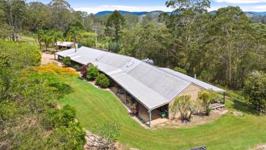 Lifestyle For Sale - QLD - Cooroy - 4563 - Rural Lifestyle Holdings (three lots sold last two remaining)  (Image 2)