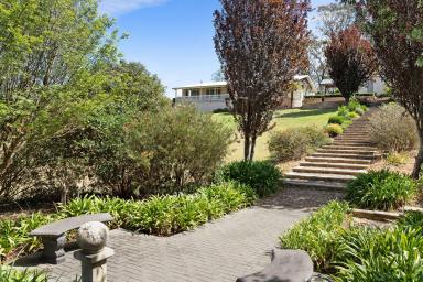 House For Sale - NSW - Mogo - 2536 - A Class Above the Rest  (Image 2)