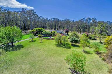House For Sale - NSW - Mogo - 2536 - A Class Above the Rest  (Image 2)