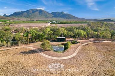 Lifestyle Sold - QLD - Dimbulah - 4872 - LIFESTYLE PLUS ENTRY LEVEL FARMING OPPORTUNITY  (Image 2)