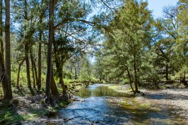 Lifestyle Sold - NSW - Palmers Oaky - 2795 - 122ACRES* Fishing and camping, perfect recreational retreat!  (Image 2)