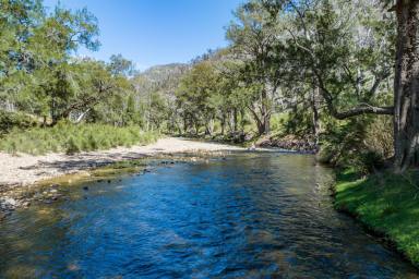 Lifestyle Sold - NSW - Palmers Oaky - 2795 - 102ACRES* Recreation activities at its finest, Fishing, camping and hiking!  (Image 2)
