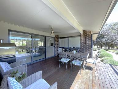House For Sale - NSW - Gundagai - 2722 - A home among the gumtrees !  (Image 2)