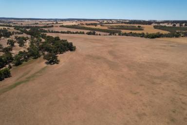Other (Rural) Sold - WA - Jelcobine - 6306 - Productive soils and winter creeks                                            39.2ha (96.82acres)  (Image 2)