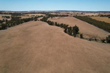 Other (Rural) Sold - WA - Jelcobine - 6306 - Productive soils and winter creeks                                            39.2ha (96.82acres)  (Image 2)