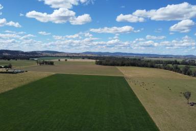 Cropping Sold - NSW - Gooloogong - 2805 - RIVER FRONTAGE - PRIME ALLUVIAL LAND - OWNED FOR 83YRS!  (Image 2)