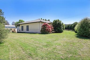 House Sold - VIC - Mitta Mitta - 3701 - “Lifestyle plus passive income in the beautiful Mitta Valley”  (Image 2)