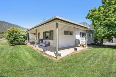House Sold - VIC - Mitta Mitta - 3701 - “Lifestyle plus passive income in the beautiful Mitta Valley”  (Image 2)