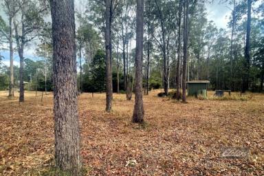 Residential Block For Sale - QLD - Glenwood - 4570 - SELL! SELL! SELL!  (Image 2)