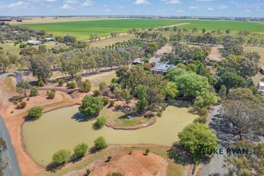 Lifestyle For Sale - VIC - Echuca - 3564 - 100 ACRES WITH HOME AND GARDEN OASIS  (Image 2)