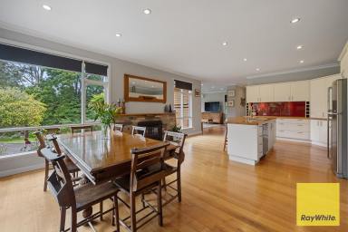 House Sold - VIC - Foster - 3960 - SUBSTANTIAL FAMILY HOME ON THE EDGE OF TOWN  (Image 2)