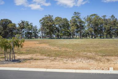 Residential Block Sold - WA - Witchcliffe - 6286 - Natural Charm  (Image 2)