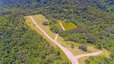 Acreage/Semi-rural Sold - QLD - Aloomba - 4871 - Rainforest Retreat - 572 Acres - 3 Bedroom House  (Image 2)