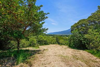 Acreage/Semi-rural Sold - QLD - Aloomba - 4871 - Rainforest Retreat - 572 Acres - 3 Bedroom House  (Image 2)