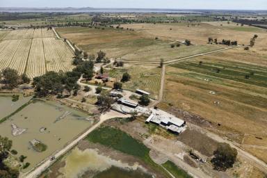 Dairy Sold - VIC - Gunbower - 3566 - Executors Sale – Expression of Interest  

Gunbower Creek Frontage

"KURRAJONG Park"

Account Estate DK Oberin 

 ( 70 plus years of ownership )  (Image 2)