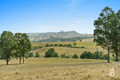 Other (Rural) Sold - NSW - Glendon Brook - 2330 - STUNNING VIEWS & DOUBLE CREEK FRONTAGE | 40 HA (100 ACRES)  (Image 2)
