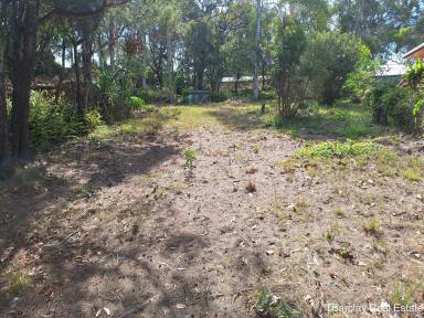 Residential Block Sold - QLD - Macleay Island - 4184 - Block with Shed  (Image 2)