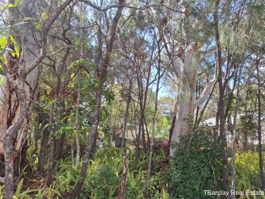 Residential Block Sold - QLD - Macleay Island - 4184 - Block with Shed  (Image 2)