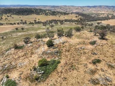 Lifestyle For Sale - NSW - Woodstock - 2793 - 170 ACRE MIXED USE LAND WITH BEAUTIFUL VIEWS  (Image 2)