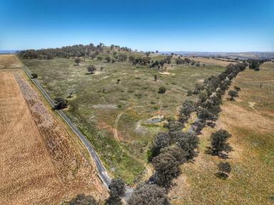 Lifestyle For Sale - NSW - Woodstock - 2793 - 170 ACRE MIXED USE LAND WITH BEAUTIFUL VIEWS (Image 2)