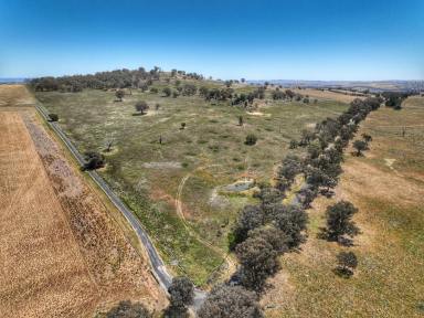 Lifestyle For Sale - NSW - Woodstock - 2793 - 170 ACRE MIXED USE LAND WITH BEAUTIFUL VIEWS  (Image 2)