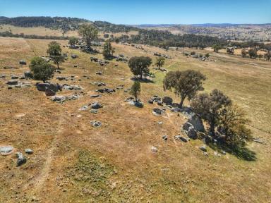 Lifestyle For Sale - NSW - Darbys Falls - 2793 - 112 ACRES - MIXED USE LAND - JUST 15 MINUTES FROM COWRA  (Image 2)