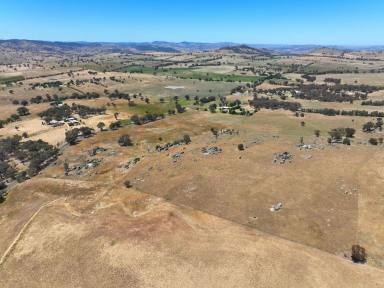 Lifestyle For Sale - NSW - Darbys Falls - 2793 - 112 ACRES - MIXED USE LAND - JUST 15 MINUTES FROM COWRA  (Image 2)