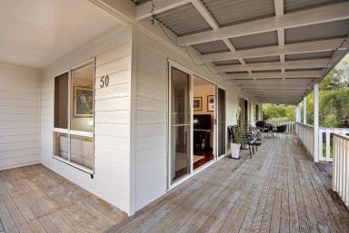 House Sold - QLD - Boreen Point - 4565 - Beautiful Seaside Cottage Located in the Heart of Boreen Point  (Image 2)