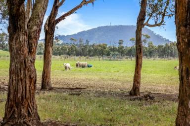 House For Sale - VIC - Scotsburn - 3352 - Country Living at Its Best – 67 Acres Close To Buninyong  (Image 2)