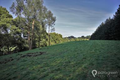 Residential Block For Sale - VIC - Woorarra West - 3960 - RURAL GETAWAY  (Image 2)