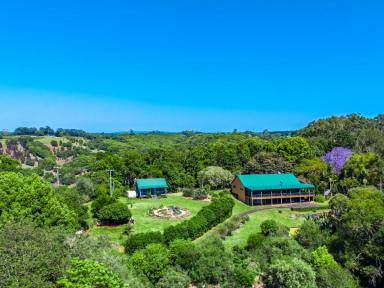 Acreage/Semi-rural Sold - NSW - Federal - 2480 - Hinterland Gem with 5 Acres of Tranquility  (Image 2)