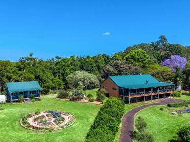 Acreage/Semi-rural Sold - NSW - Federal - 2480 - Hinterland Gem with 5 Acres of Tranquility  (Image 2)