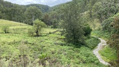 Lifestyle For Sale - NSW - Cooplacurripa - 2424 - 260 Mountain Acres with creek and cabin  (Image 2)