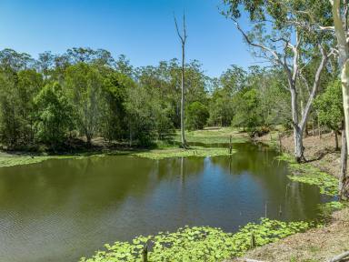 Residential Block Sold - QLD - Veteran - 4570 - SET UP YOUR OFF GRID PARADISE  (Image 2)