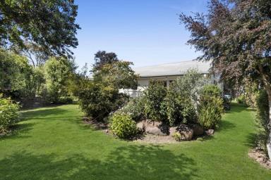 House For Sale - TAS - Trevallyn - 7250 - Secluded Gem in a Serene Oasis!  (Image 2)