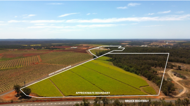 Horticulture For Sale - QLD - Isis Central - 4660 - 100 ACRES OF HIGH IMPACT INDUSTRIAL ZONING  (Image 2)