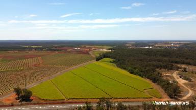 Horticulture For Sale - QLD - Isis Central - 4660 - 53 ACRES - HIGH IMPACT INDUSTRIAL ZONING  (Image 2)