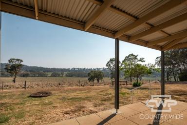 Acreage/Semi-rural Leased - NSW - Matheson - 2370 - Spacious Country Living  (Image 2)