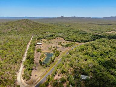 Lifestyle For Sale - QLD - Cooktown - 4895 - Catch Your Own Barra!!
34 Acres, Large Shed, Dams, Fruit Trees  (Image 2)