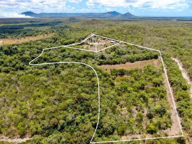 Lifestyle For Sale - QLD - Cooktown - 4895 - Catch Your Own Barra!!
34 Acres, Large Shed, Dams, Fruit Trees  (Image 2)