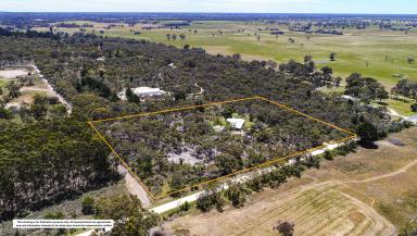 House Sold - SA - Naracoorte - 5271 - Privacy, Lifestyle & Sustainability - 7.88 acres  (Image 2)