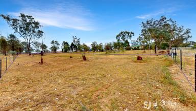 Residential Block For Sale - NSW - Geurie - 2818 - Great for Future Development  (Image 2)