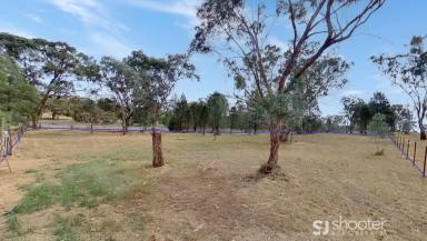 Residential Block For Sale - NSW - Geurie - 2818 - Prime Block of Land in Geurie  (Image 2)
