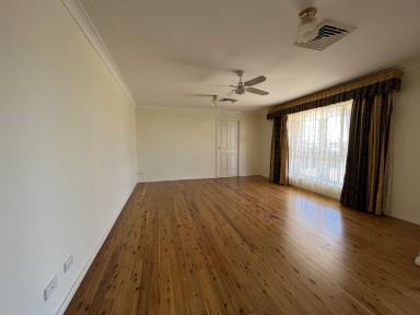 House Sold - NSW - Lightning Ridge - 2834 - Expressions of Interest  (Image 2)