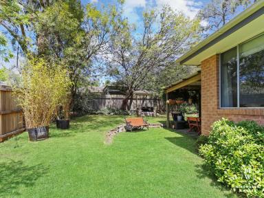 House For Sale - NSW - Bundanoon - 2578 - Sun Drenched Home with Room for a Granny Flat.  (Image 2)