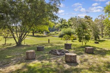House Sold - NSW - Adelong - 2729 - Rare Lifestyle Entertainer with Country Charm  (Image 2)