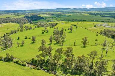 Other (Rural) For Sale - VIC - Longwarry North - 3816 - Prime Land by the Tarago River: 40Ha with 1.4 km Frontage  (Image 2)