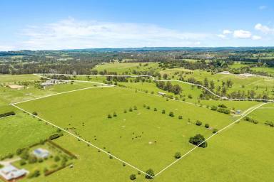 Other (Rural) For Sale - VIC - Longwarry North - 3816 - Prime Land by the Tarago River: 40Ha with 1.4 km Frontage  (Image 2)